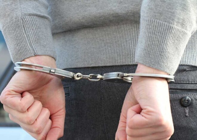 Investigating Real-Life Criminal Cases