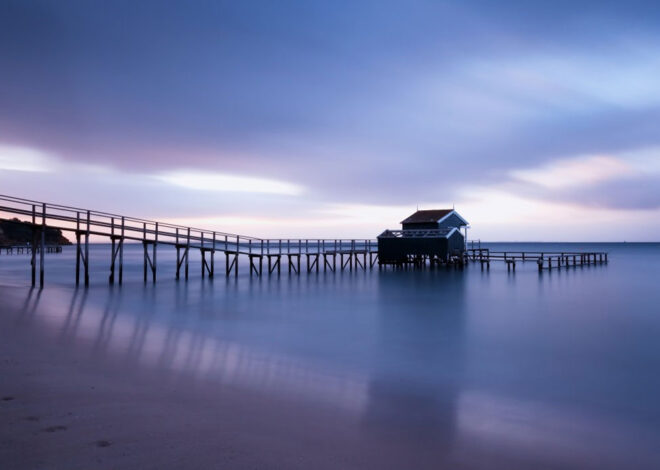 Exploring the Local Beaches and Communities