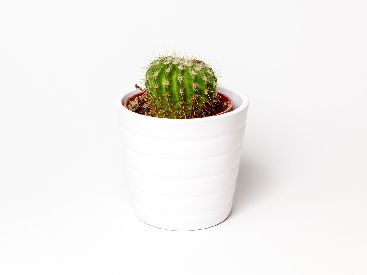 This Is How Minimal Will Look Like